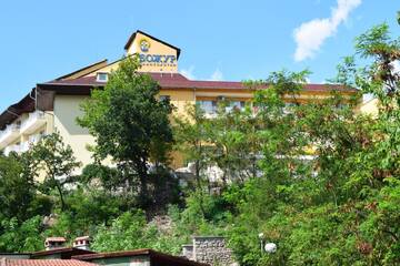 Фотографии Отель Hotel Bojur г. Минерални-Бани (Болгария) №3 Фото Отель Hotel Bojur г. Минерални-Бани 3